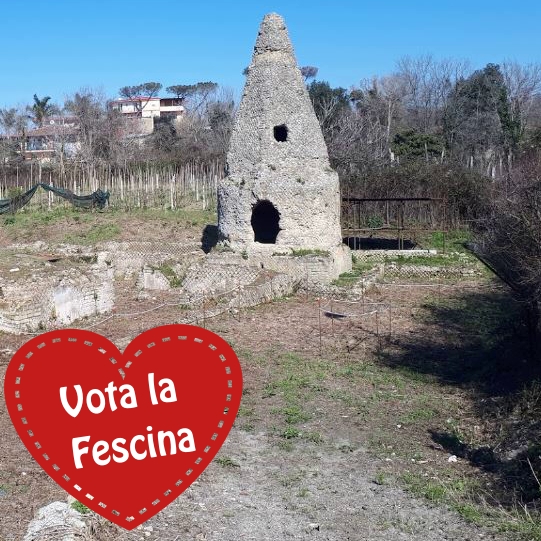 fescina